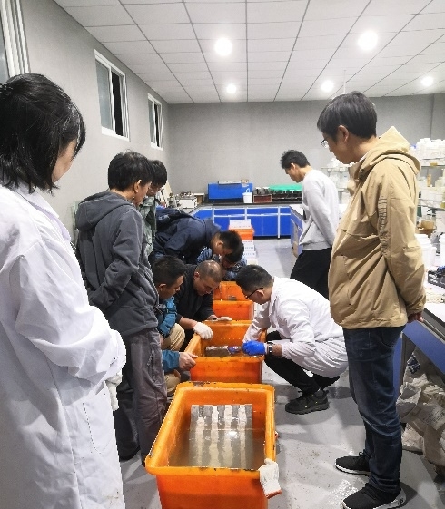 67381顶级娱乐(中国区)-游戏官方网站